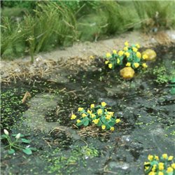 Marsh Marigold (14 per pack)