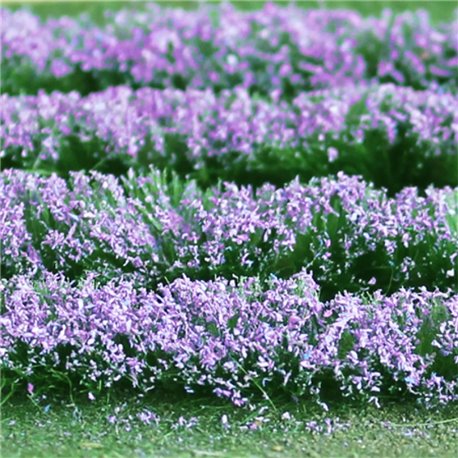 Lavender (125mm x 155mm Sheet)