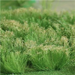 Sedge (125mm x 155mm Sheet)