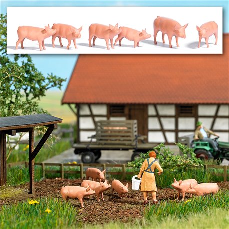 Pigs set of 6