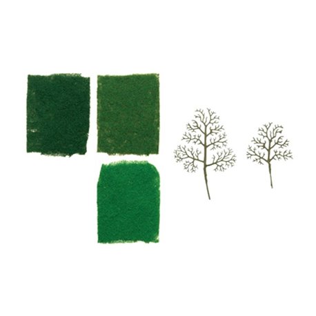 Starter Tree Kit - Sycamore 3"-4"