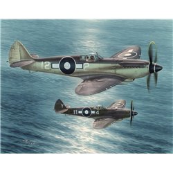 Supermarine Seafire F Mk.XV Far East Service