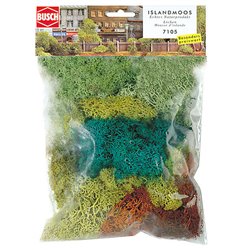 Large Pack Assortment Lichen