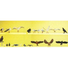 Pigeons/Seagulls/Crows/Birds of Prey Exclusive Figure Set