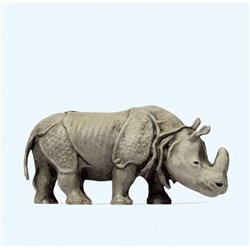 Indian Rhinoceros (Head