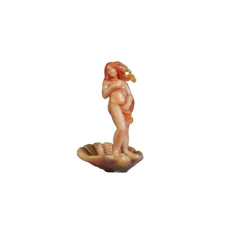 Venus 3D Master Figure